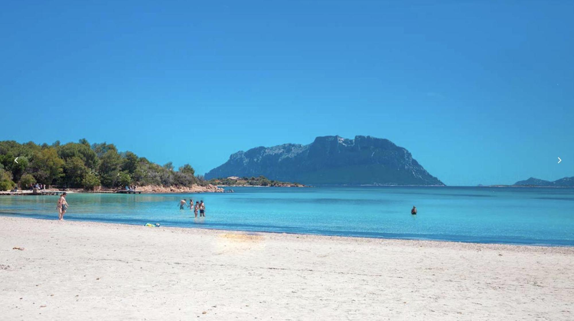 Mare - Murta Maria *
