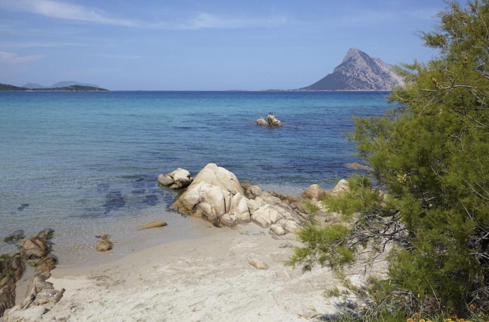 Mare - Murta Maria Apartment *